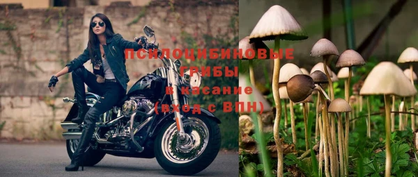 mdpv Верея