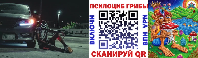 Купить где  Мариинский Посад  Псилоцибиновые грибы Magic Shrooms 